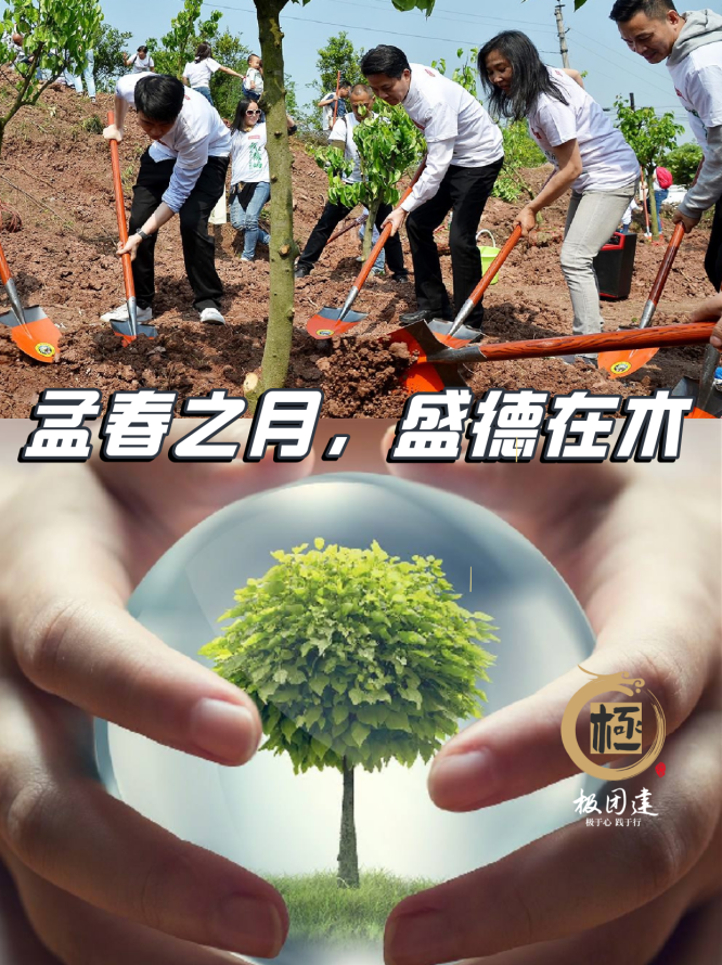默认标题__2025-02-13+11_36_51.png
